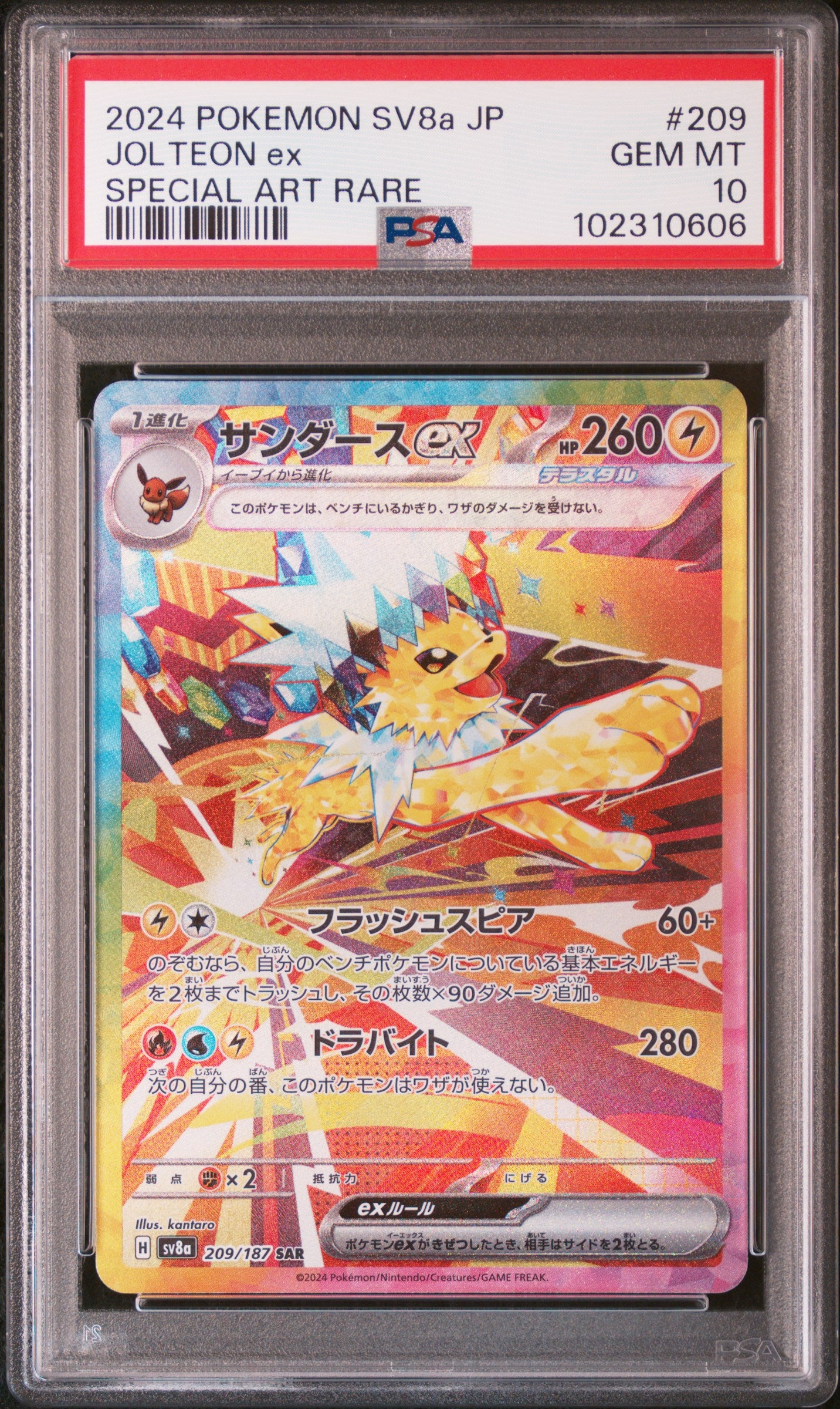 PSA 10 200,202,205,206,209,211,212,217/223,224/187 104467622 (Set 042)