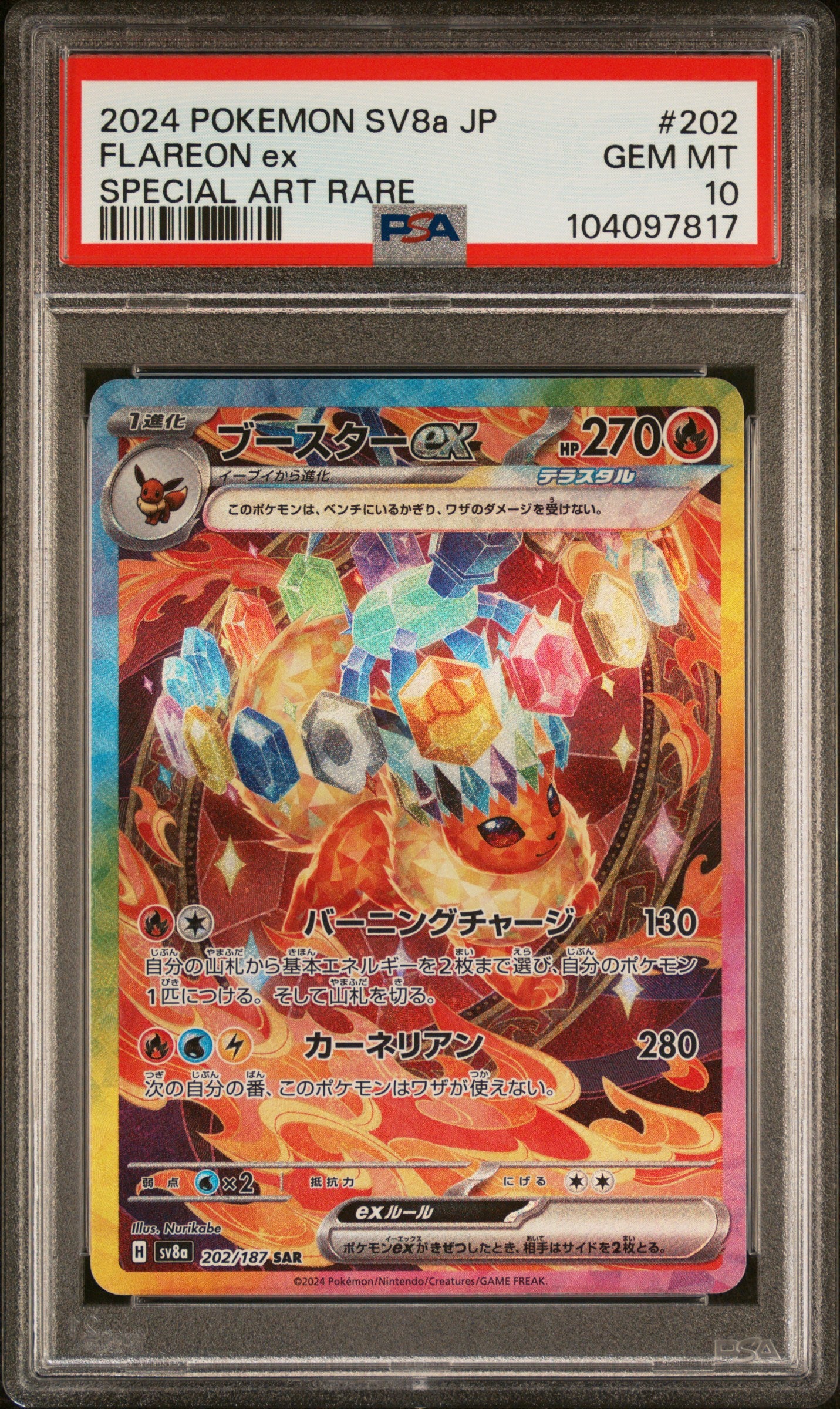 PSA 10 200,202,205,206,209,211,212,217/223,224/187 104467622 (Set 042)