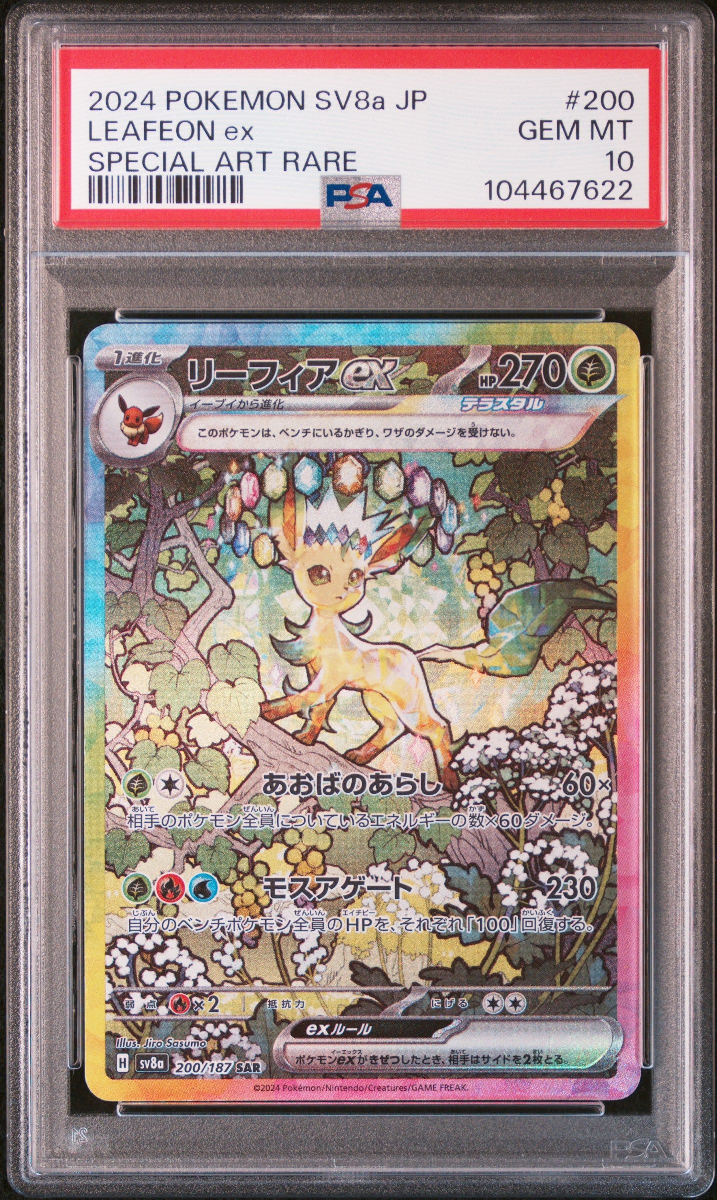 PSA 10 200,202,205,206,209,211,212,217/223,224/187 104467622 (Set 042)