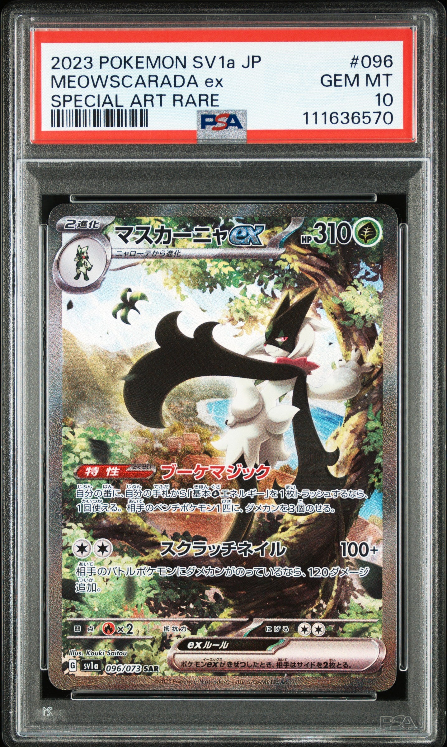 PSA 10 096/073 111636570