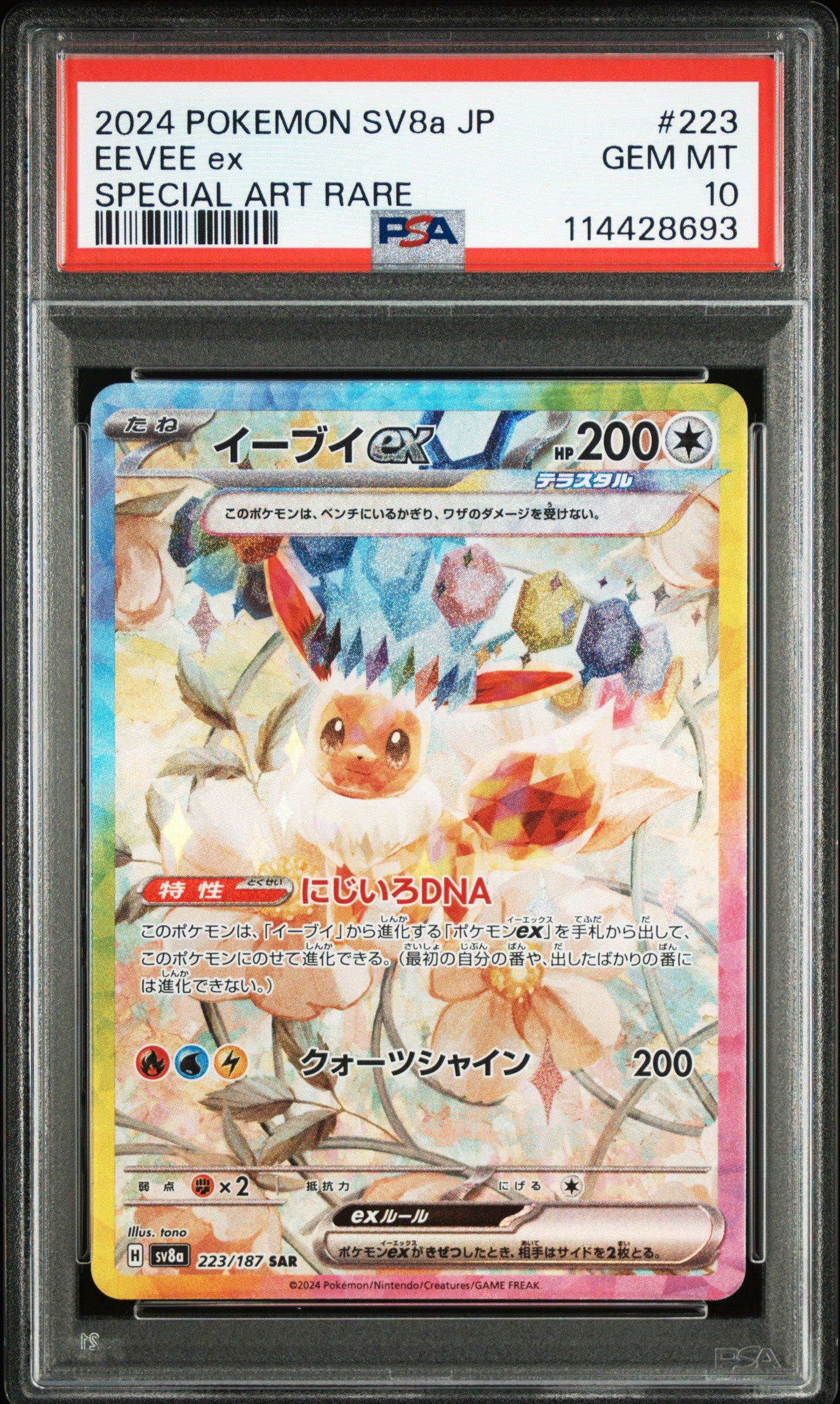 PSA 10 200,202,205,206,209,211,212,217/223,224/187 104467622 (Set 042)
