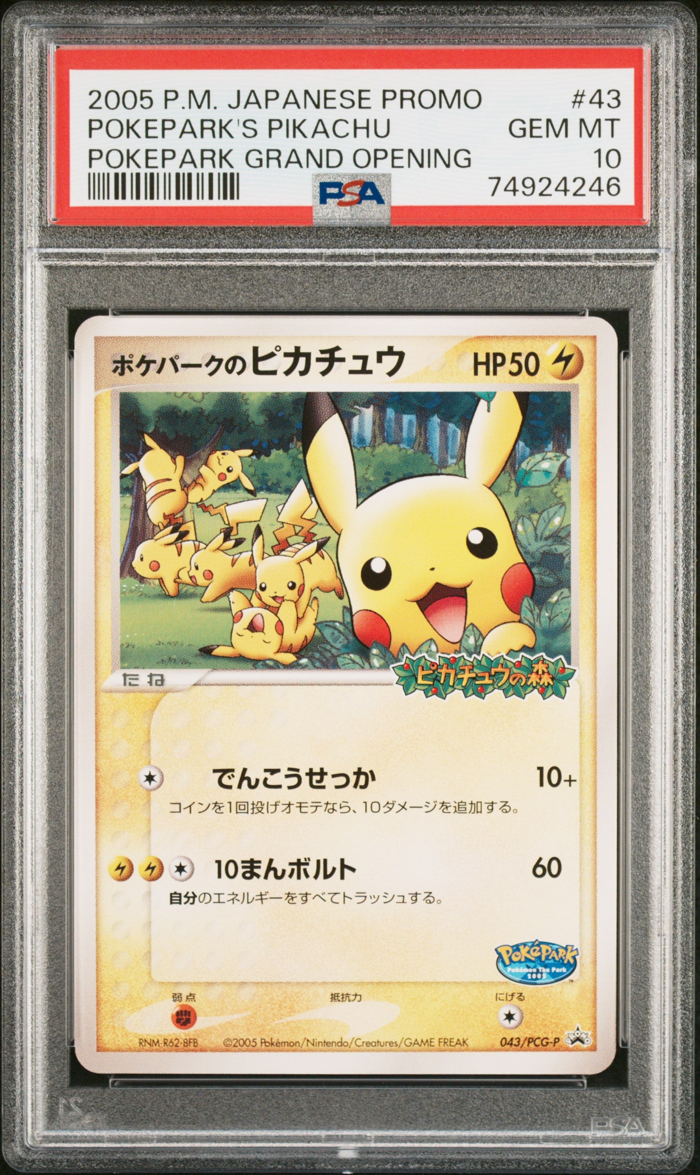 PSA 10 043/PCG-P 74924246