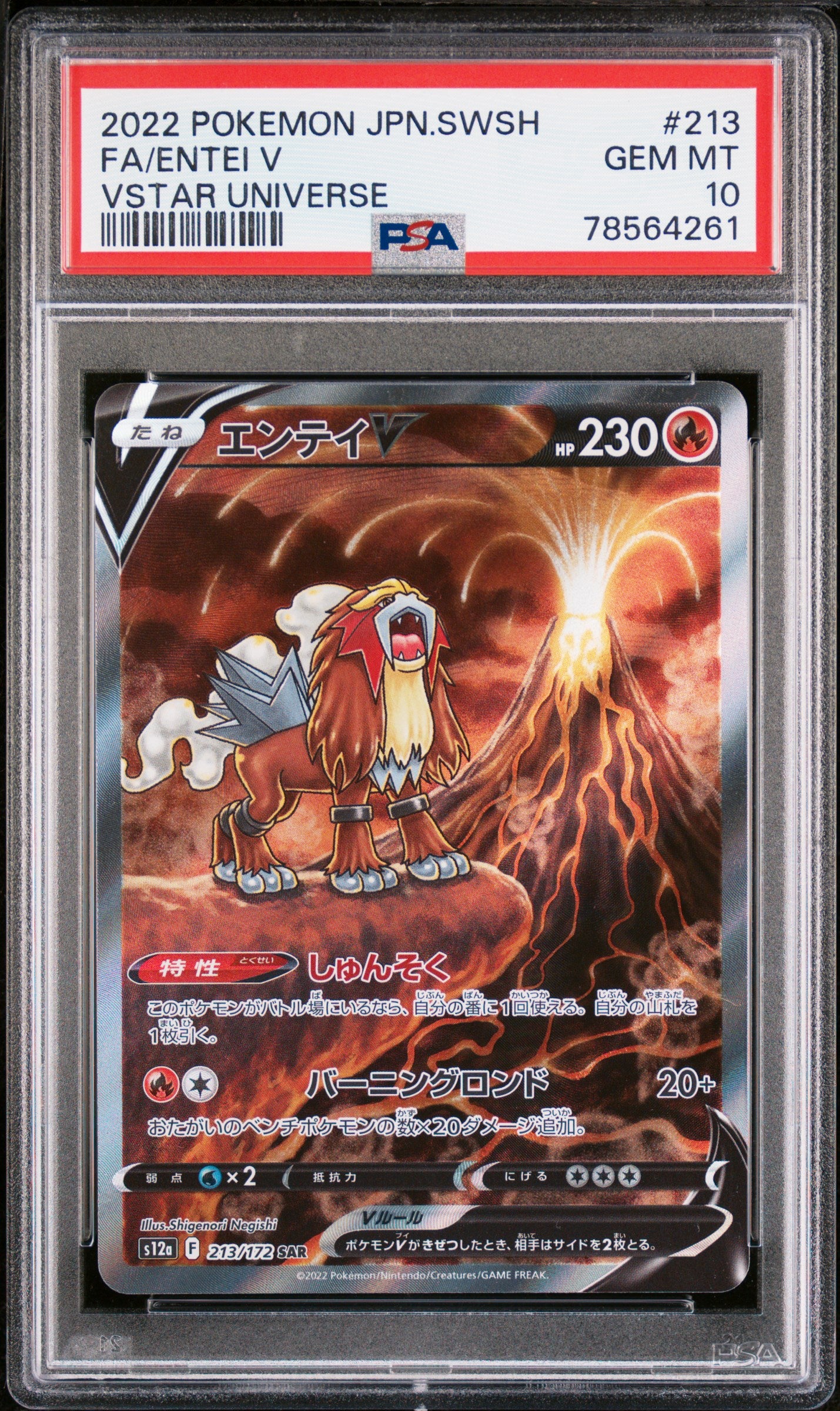 PSA 10 213,215,218/172 (Set 003) 78564261