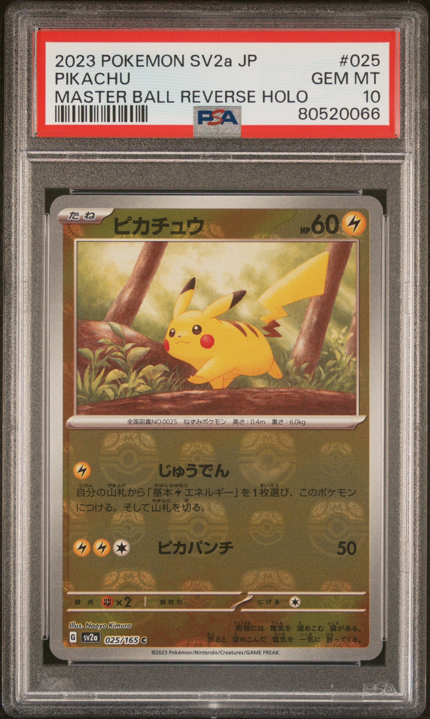 PSA 10 025/165 80520066