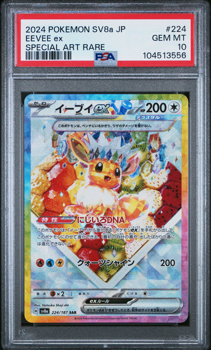 PSA 10 200,202,205,206,209,211,212,217/223,224/187 104467622 (Set 042)