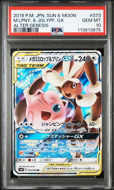 PSA 10 073/095 2019 JPN M.LPNY. & JGLYPF #073 113813875